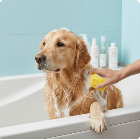 2-in-1 Silicone Pet Bath Brush – Massage & Shampoo Dispenser - Cedar Paw Co