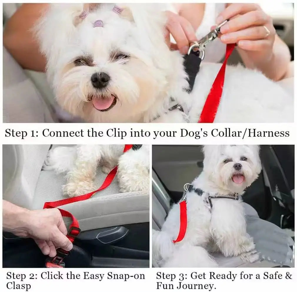 Adjustable Pet Car Seat Belt – Nylon Safety Leash for Dogs & Cats