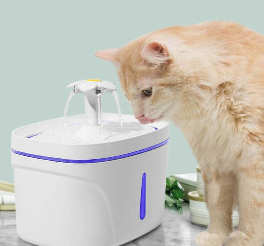 Automatic Pet Water Fountain – Filtered 2.5L Drinking Dispenser - Cedar Paw Co