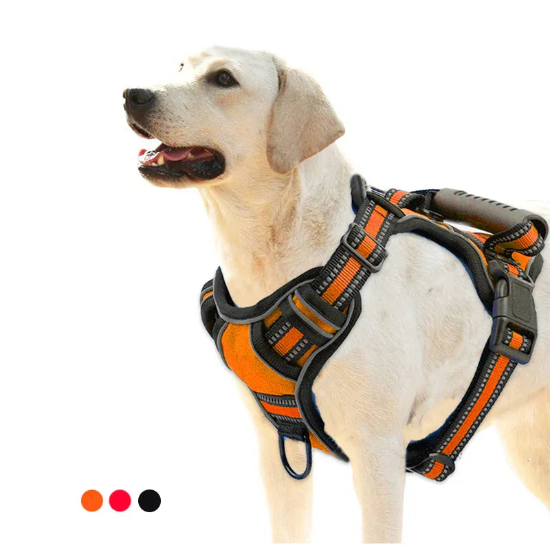 No-Pull Reflective Dog Harness – Breathable & Adjustable Vest - Cedar Paw Co